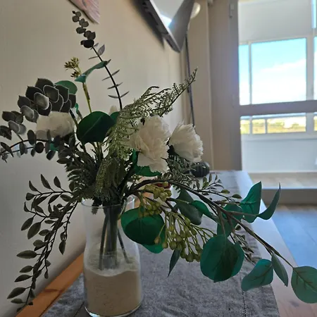 Bonito Estudio Con Vistas, Centro *