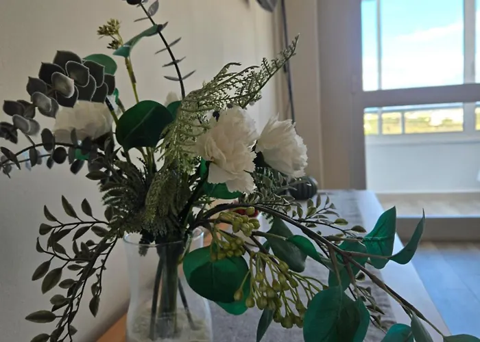 Bonito Estudio Con Vistas, Centro *